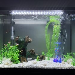 30 GALLON FISH TANK