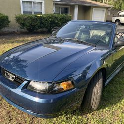 2000 Ford Mustang