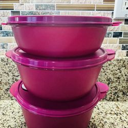 🌺🌺T U P P E R W A R E 🌺🌺