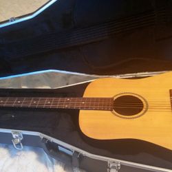 Limited Edition Guitar And Gator Hard Case