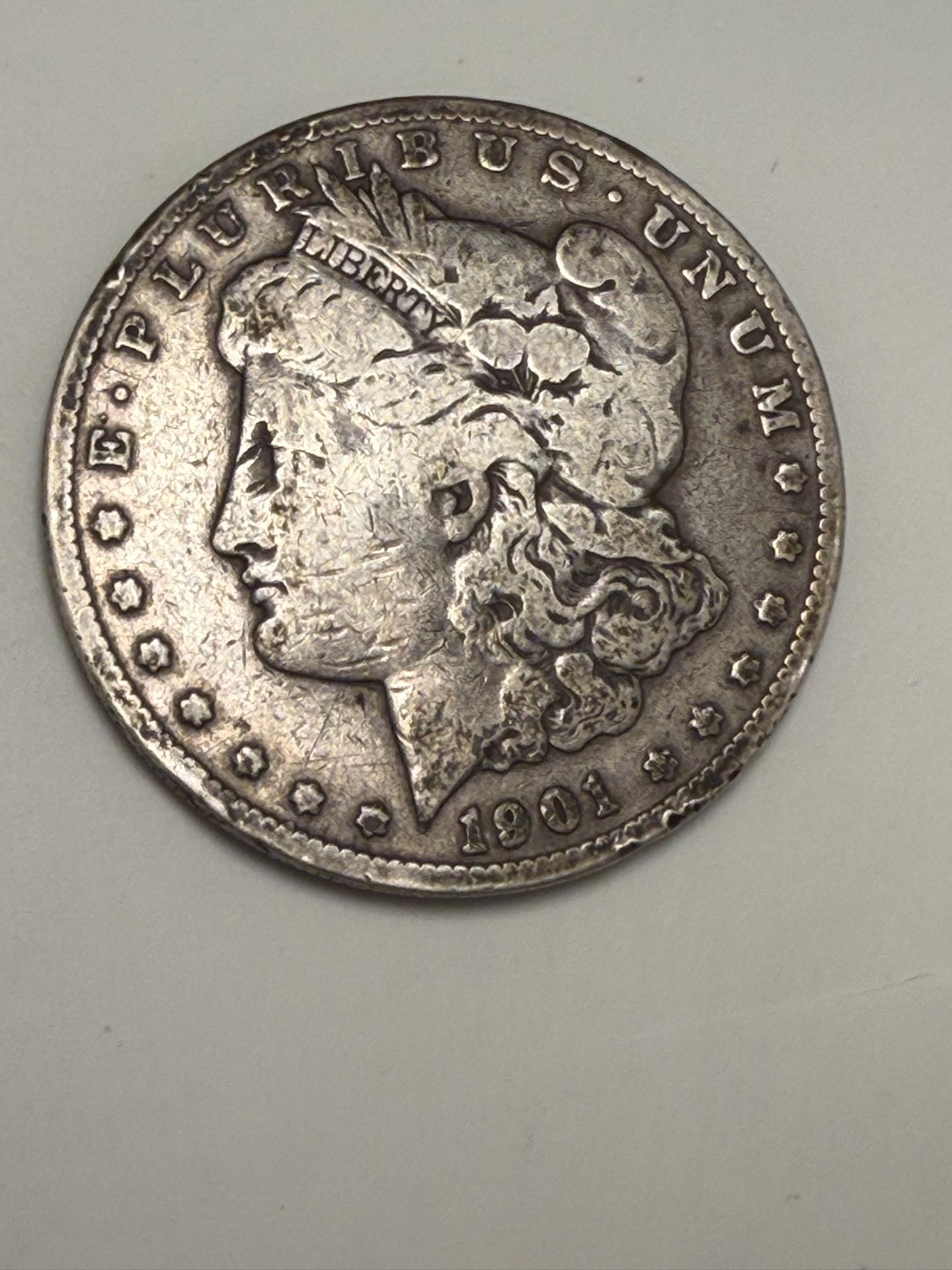 Mint State 1891 Morgan Dollar