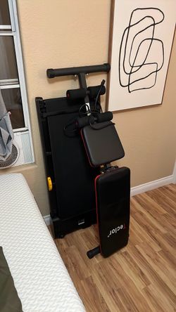 Gym equipment bench press and treadmill
