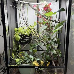 Reptizoo glass Hybrid Enclosure (24L x 18D x 36H)