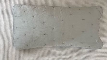 Pottery Barn King pillowcases 2