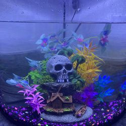 Top Fin Corner Aquarium Fish Tank