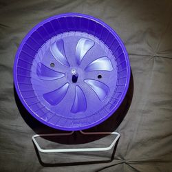 Kaytee 8.5” purple wheel for tiny pets.
