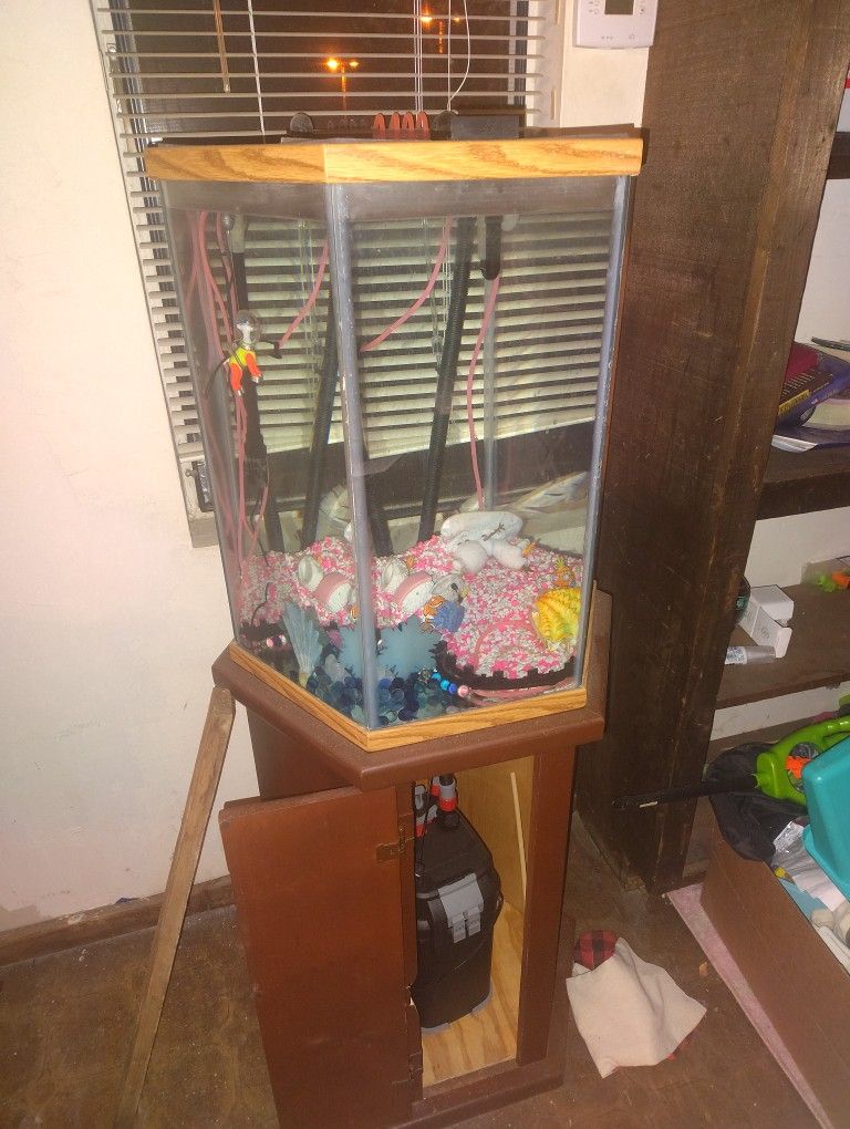 Fish Tank With Pumps And Stand