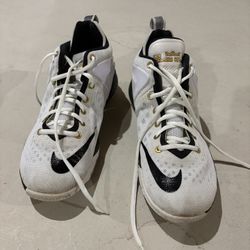 Black, White and Gold Lebron Nike’s