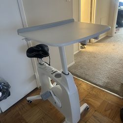 flexi spot bicycle desk
