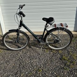 Adult Schwinn Bike