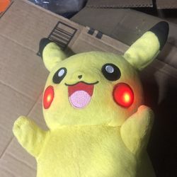 Peluche
