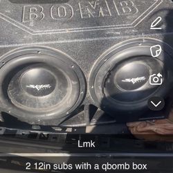 12 In Subwoofers 