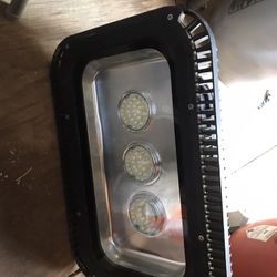 Led Lamp