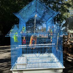 Bird Cage With Toys Also 