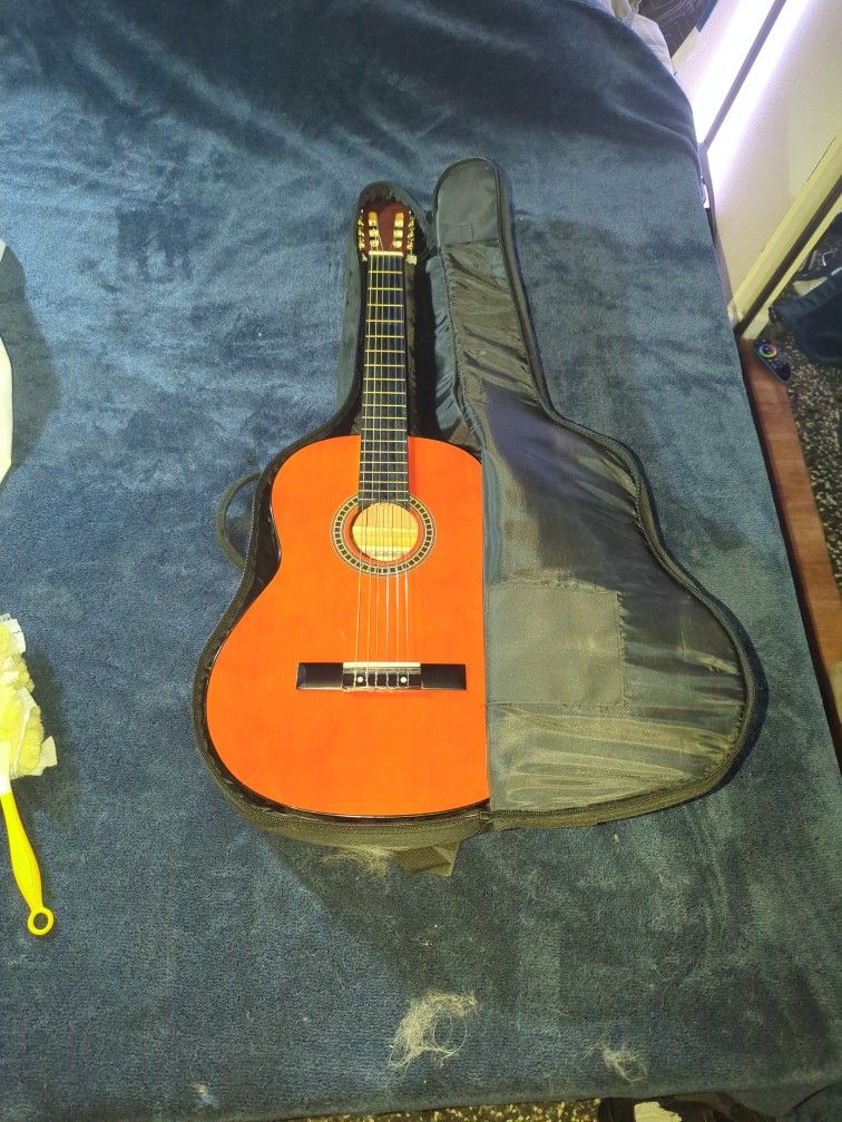 Acoustic Guitar