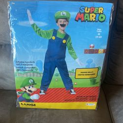 Custome Luigi Bross