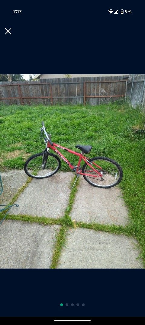 Raleigh m40 Mountain Bike