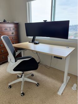 Electric Standing Desk & chair