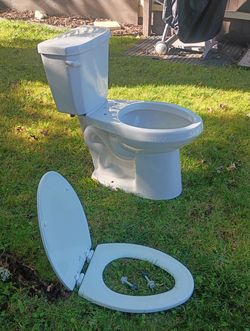 Bathroom toilet