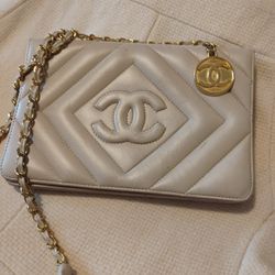 Cute Little Purse Matches Everything