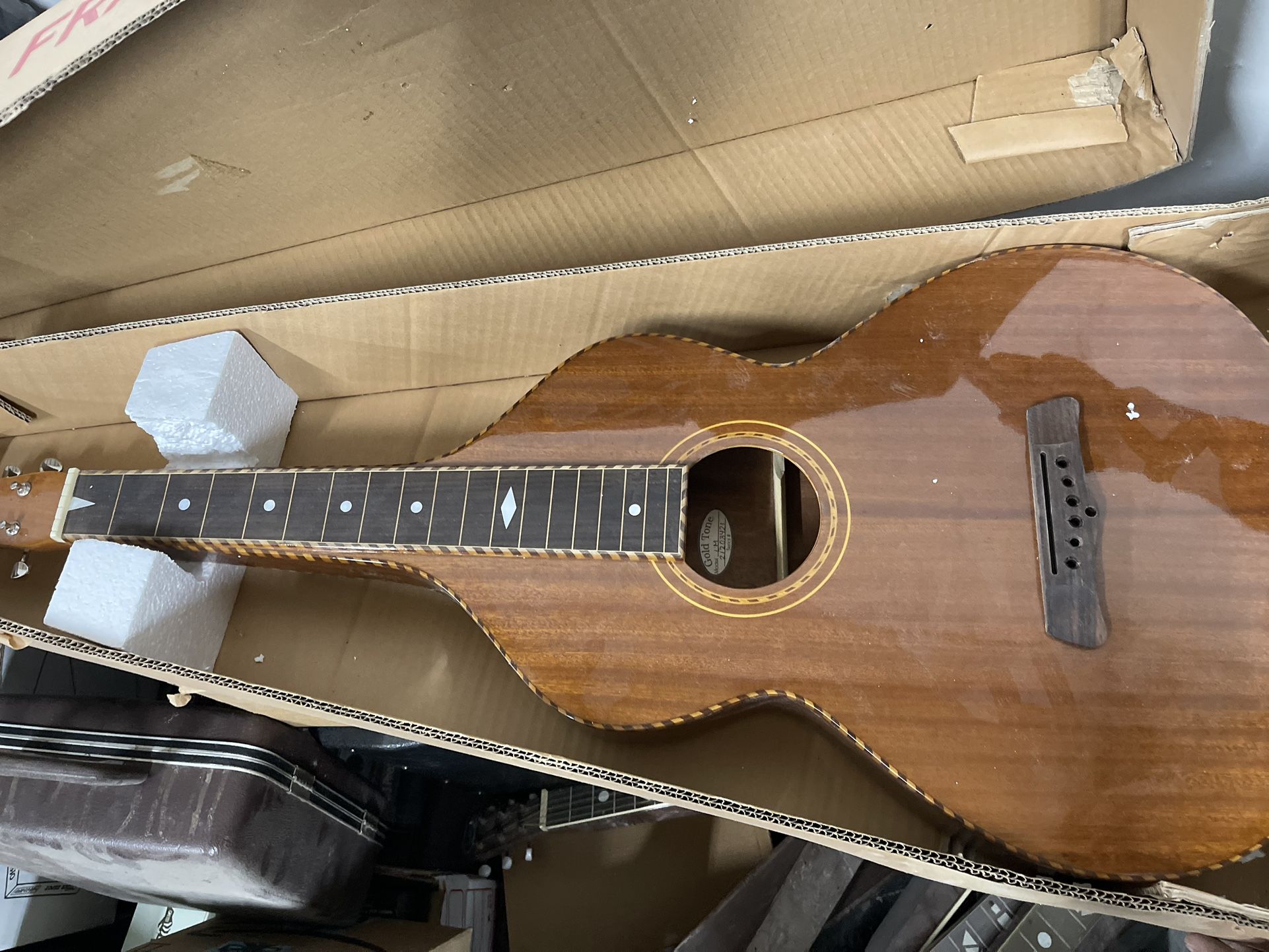 Gold Tone SM Weissenborn - No Strings