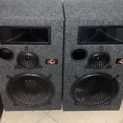 DLS PROFESSIONAL LOUDSPEAKER SYSTEM MODEL 9902 