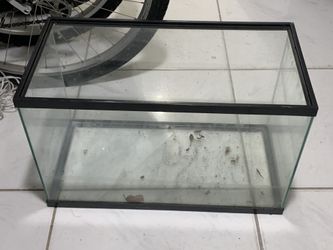 10 Gallon Fish Tank