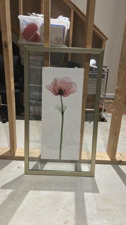 Set of 4 Modern Framed X-Ray Poppy / Anemone Prints – Gold Floating Frames