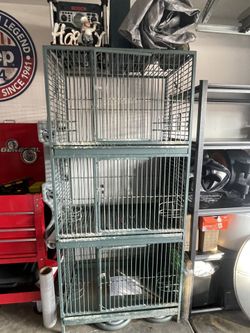 Bird Cage