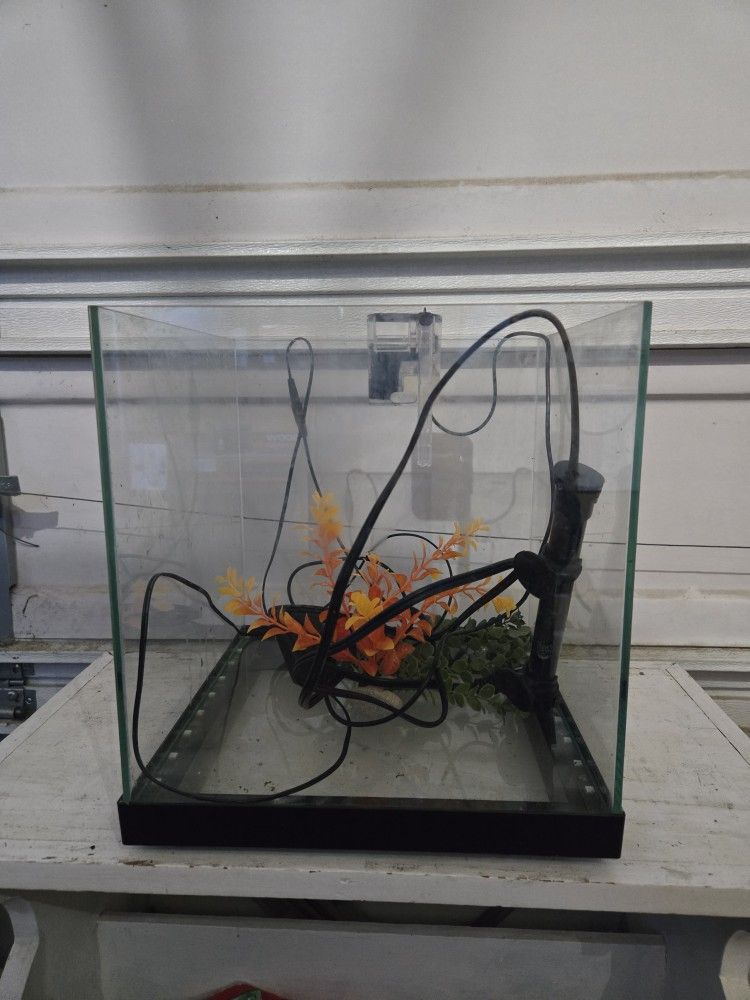 6.5 Gallon Rimless Fish Tank Set