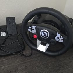 Racing Wheel And Pedals