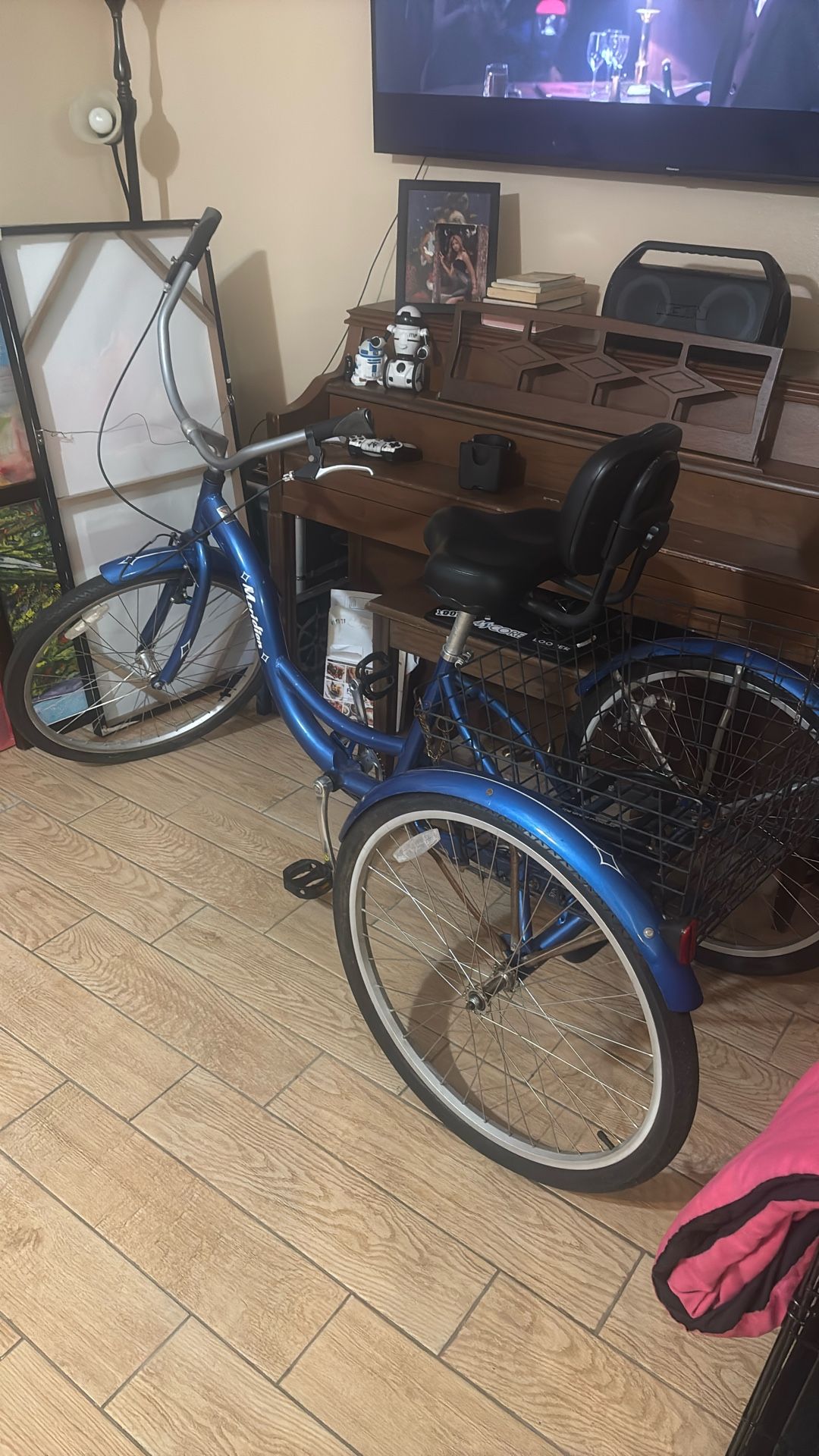 Meridian Comfort Tricycle