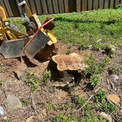 STUMP GRINDING 