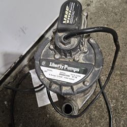 Liberty Model 287 Heavy Duty Sump Pump