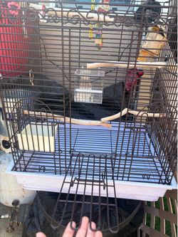 Large bird cage like new