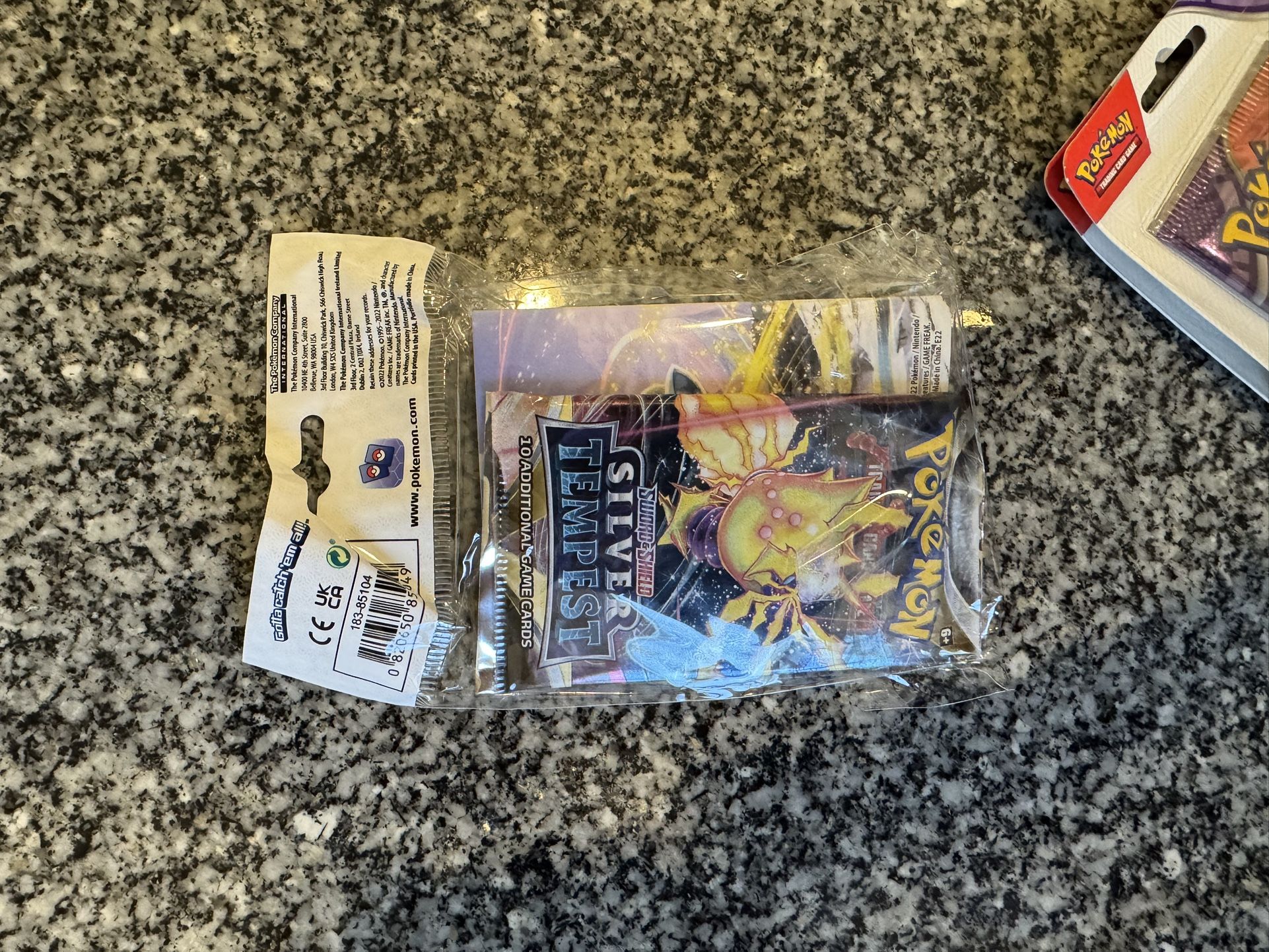 Pokemon Silver Tempest Booster Pack & Mini Binder Sealed