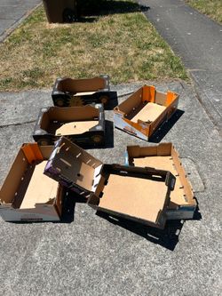 Seven heavy duty cardboard boxes