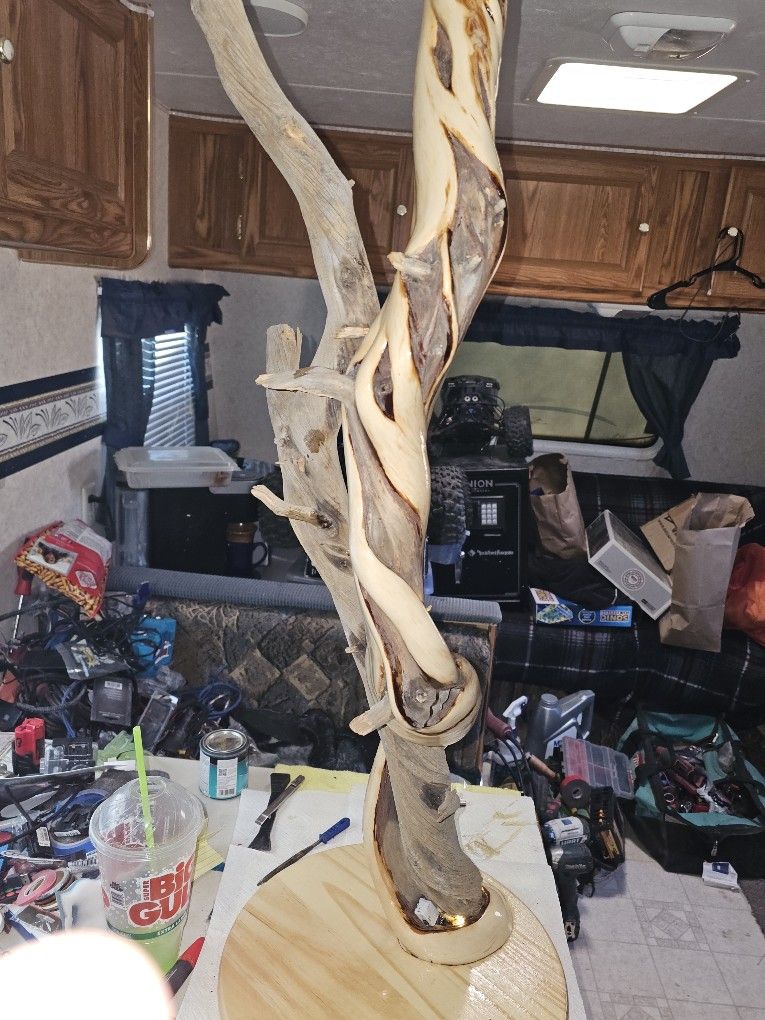Twisted Family JUNIPER