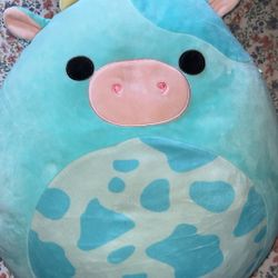 Squishmallows 