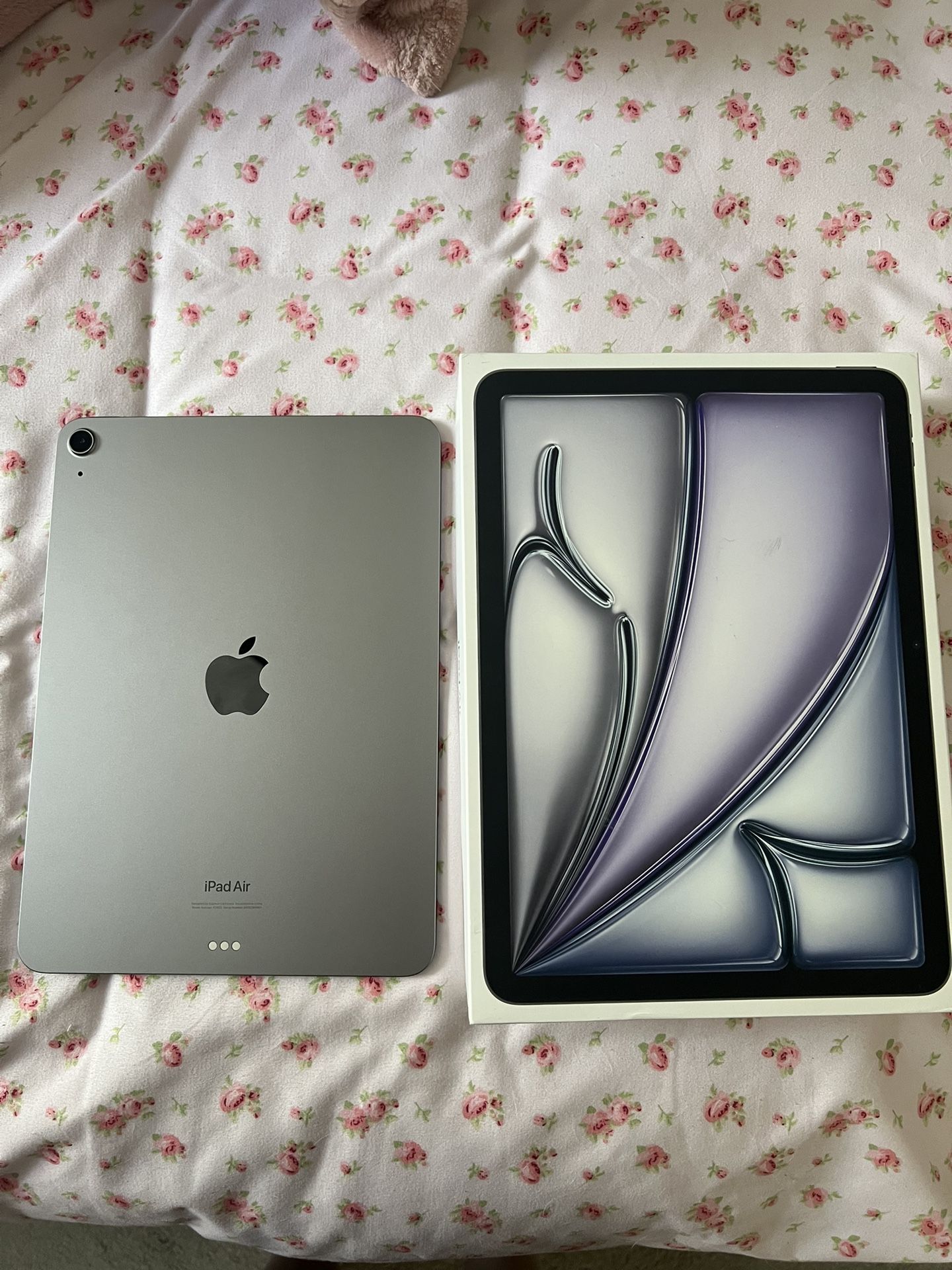 Apple Ipad air (2024)