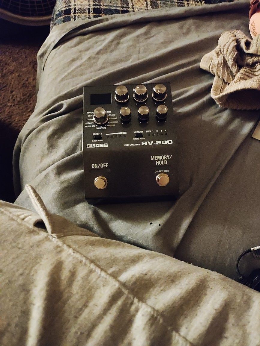 Reverb 200 Boss