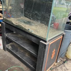 120 Gallon Aquarium