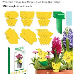30pcs Sticky Bug Traps, New
