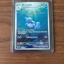 Pokemon Wartortle IR