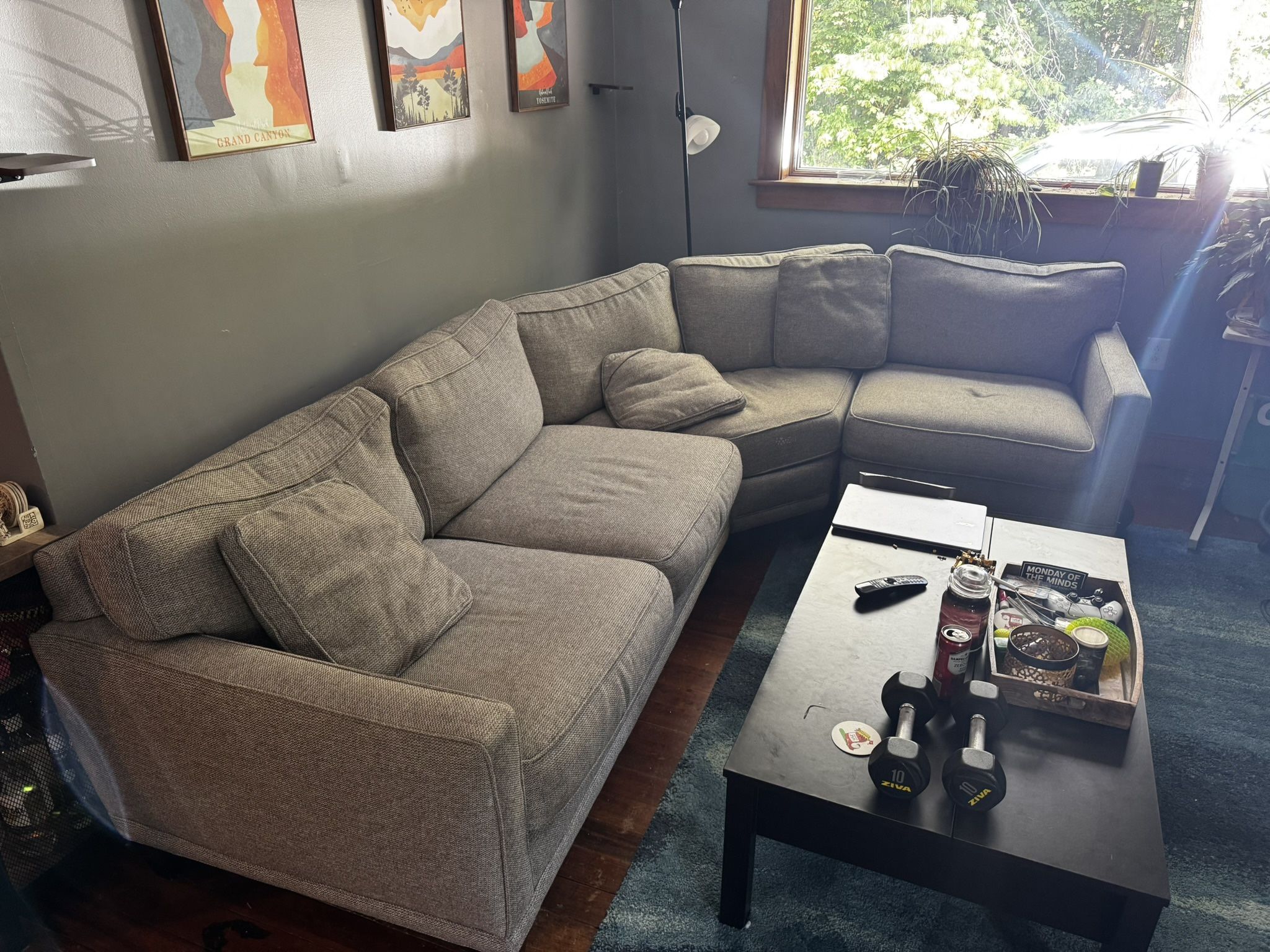 Sectional Couch 