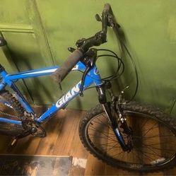 Giant Boulder Mountain Bike