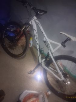 Specialized epic
