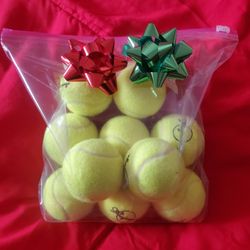 Christmas / For Pets