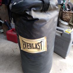 20 Lb Punching Bag Everlast 