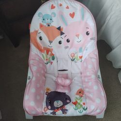 Baby to Toddler Rocker Chair